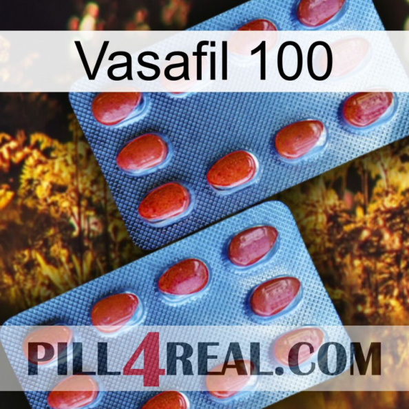 Vasafil 100 05.jpg